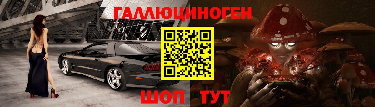 Псилоцибиновые грибы Psilocybine cubensis  Вход с VPN  Алатырь 